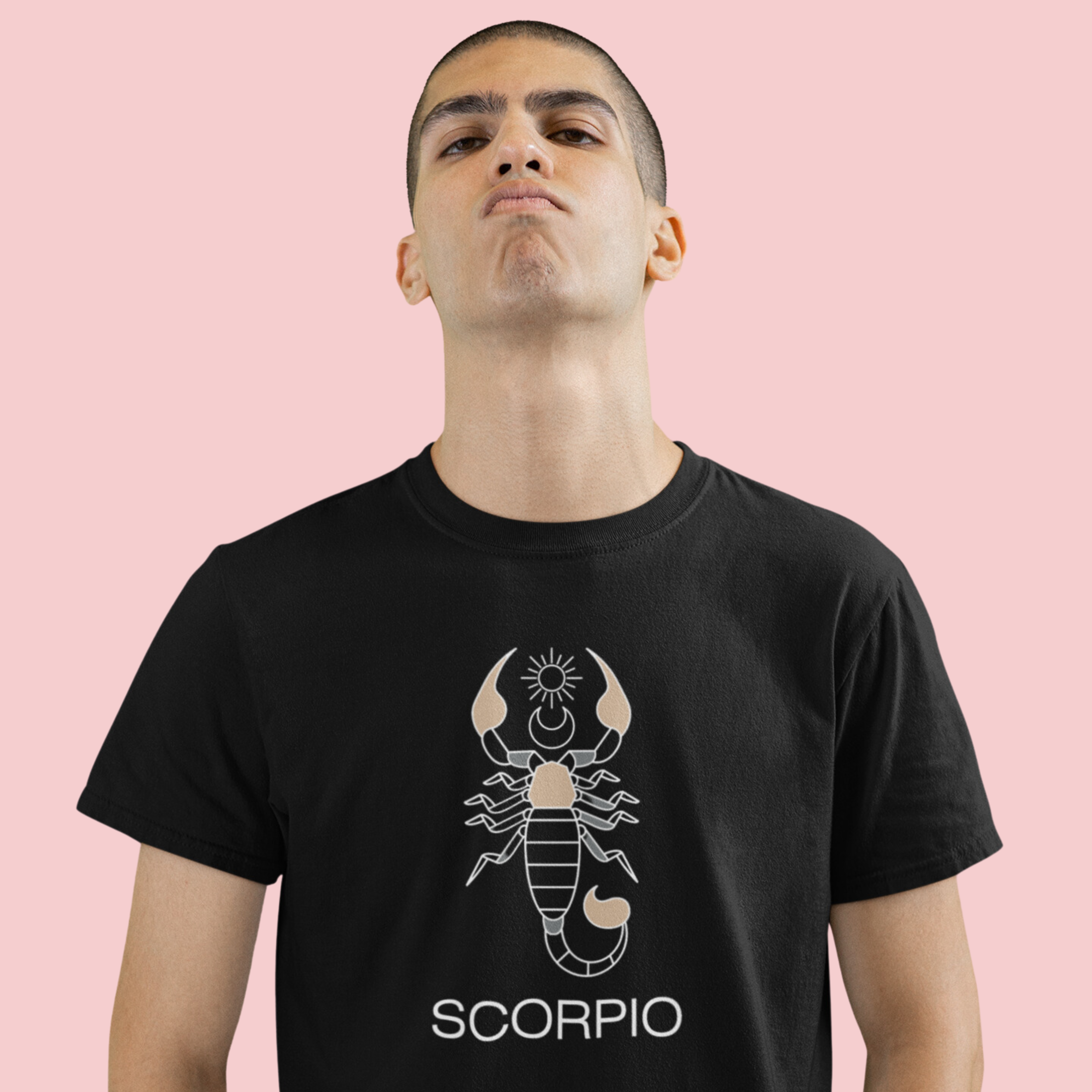 Scorpio Zodiac Tshirt | Zodiac Series Unisex TShirt